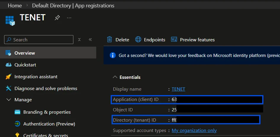 Application overview showing Client ID and Tenant ID